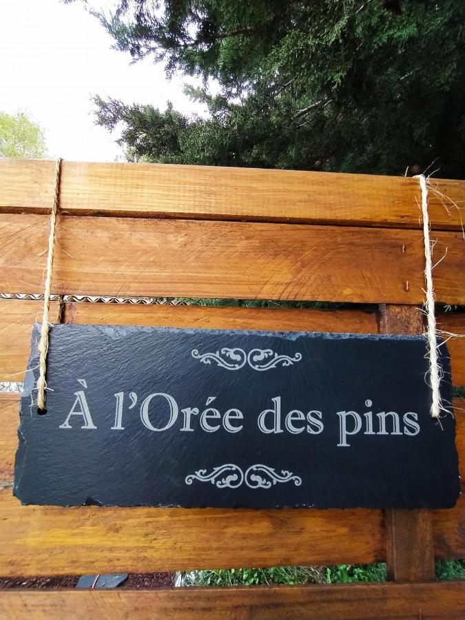 A L'Oree Des Pins - Gite Et Spa De 30 M2- Home Cinema Et Massage En Sup Cuges-les-Pins Ngoại thất bức ảnh